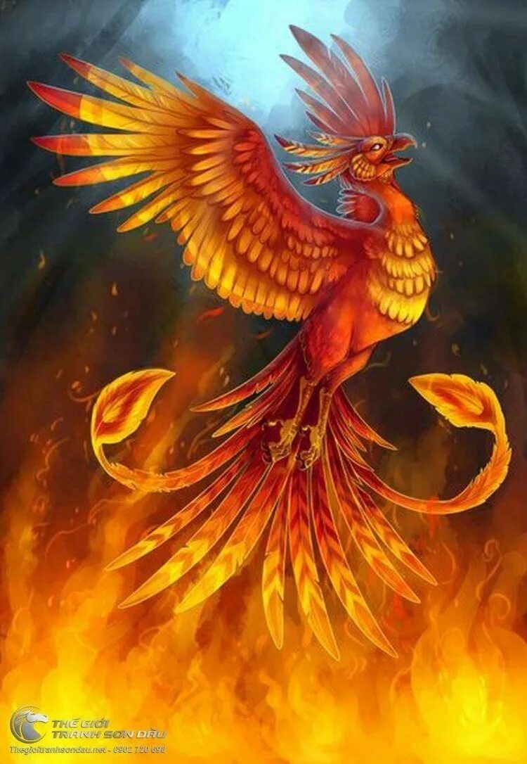 Феникс phoenix. Хумо Симург. Феникс Анка. Мифические существа птица Феникс. Судзаку Феникс.