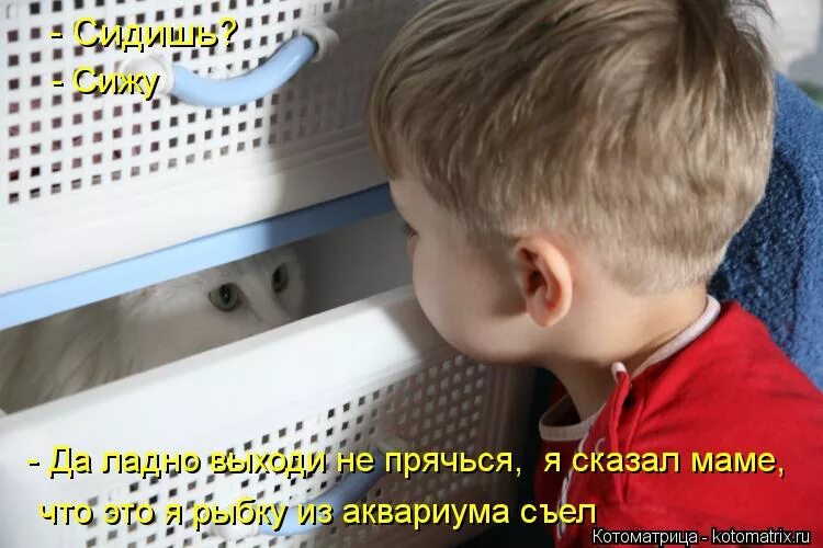 Креативные высказывания. Твой друг назвал меня принцессой а ты сказал скрывая страх. Таких принцесс в старинных пьесах в конце. Твой друг назвал меня принцессой а ты сказал. Скройся говорю.