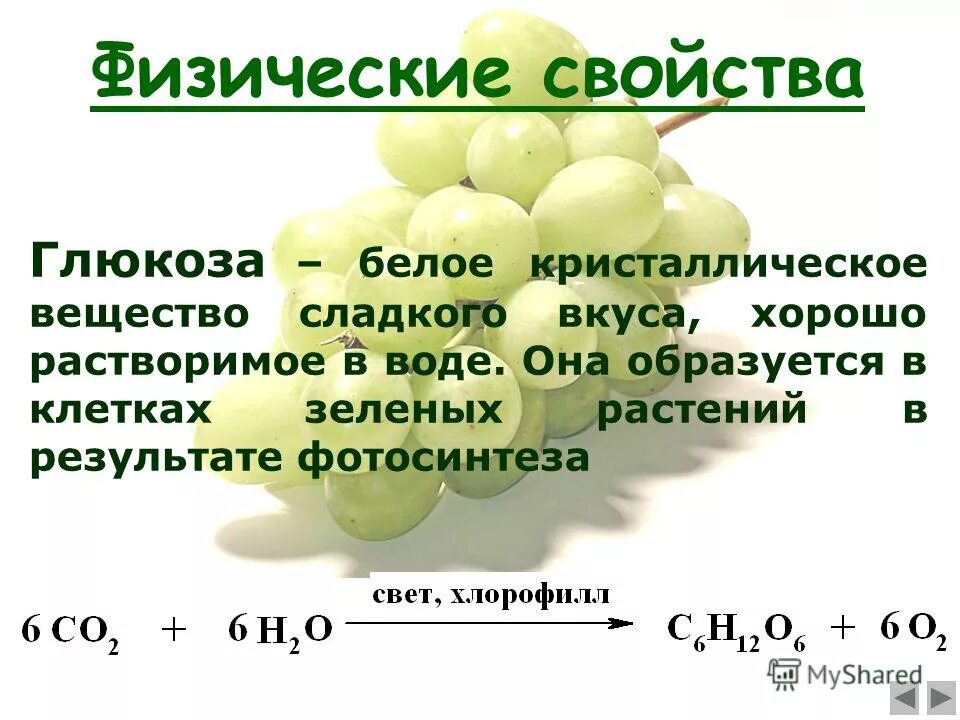 Образование глюкозы в зеленом растении