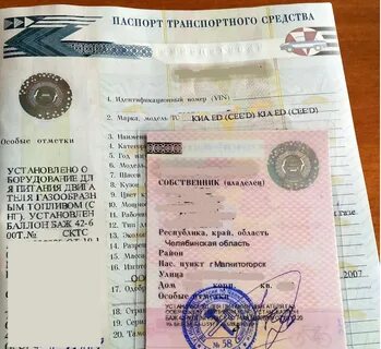 Особые отметки