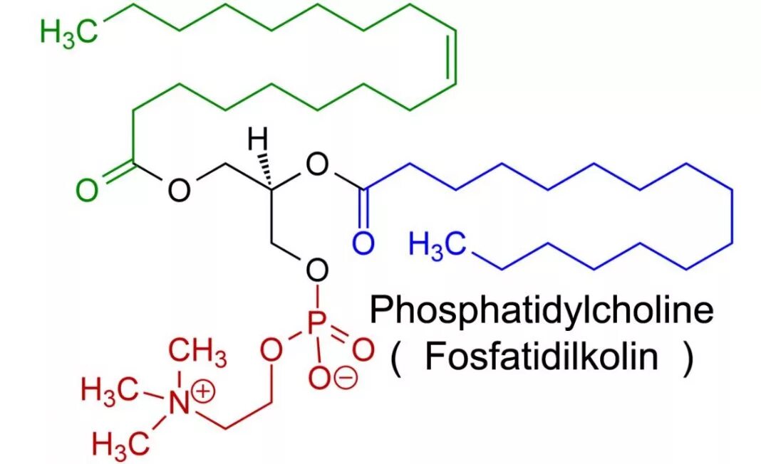 Фосфатидилхолин структурная формула. Лецитин фосфатидилхолин формула. Структурная формула фосфатидилхолина. Фосфатидилхолин формула биохимия. Фосфатидилхолин это