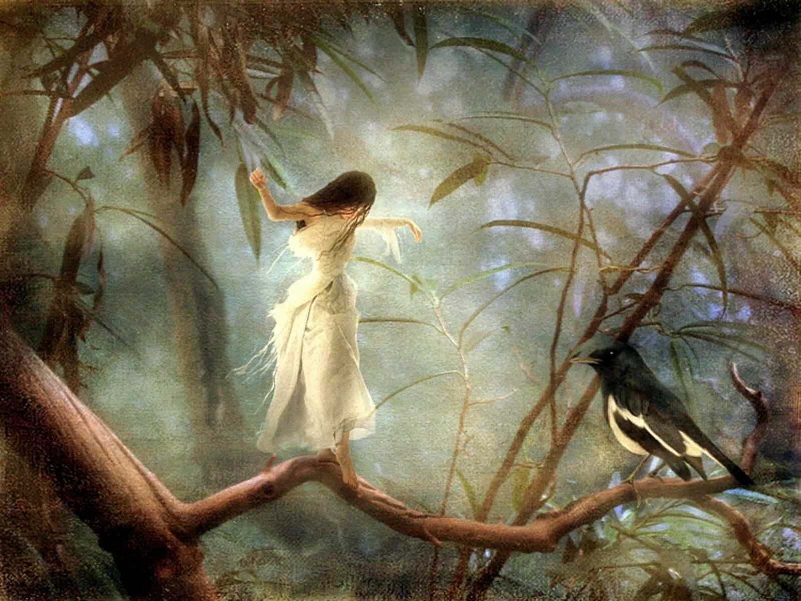 На ветке дерева сидели птицы. Девочка с птичкой. Девушка птица. Картина девочка с птичкой. Девушка с птицей картина.