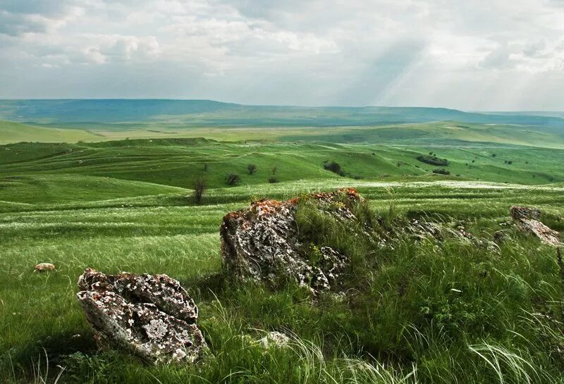 Зоны чеченская республика. Северный Кавказ и Предкавказье. Европейский Юг Предкавказье Кавказ Крым. Равнины Северного Кавказа. Степи Северного Кавказа.