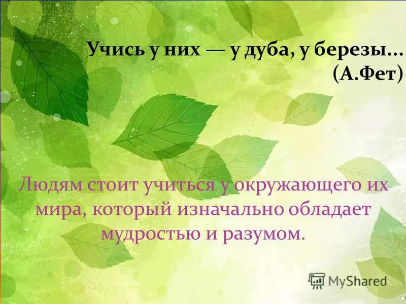 Стих учись у дуба у березы. Учись у дуба у березы Фет. Человек царь природы фото. Презентация человек - царь или часть природы?». Стихотворение человек царь природы.