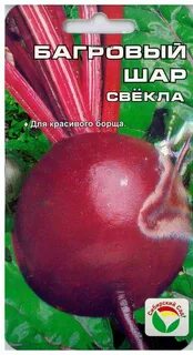 Сиб шар