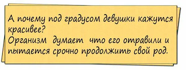 Почему под градусом. Почему под градусом. Почему под градусом. Под градусом. Анекдоты про врачей.