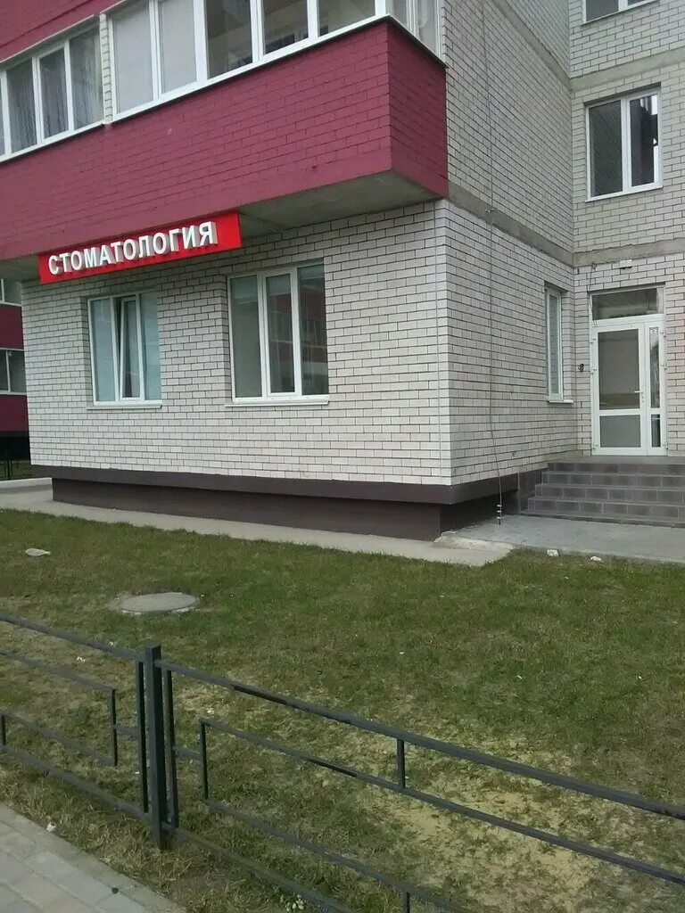 6 стомат воронеж