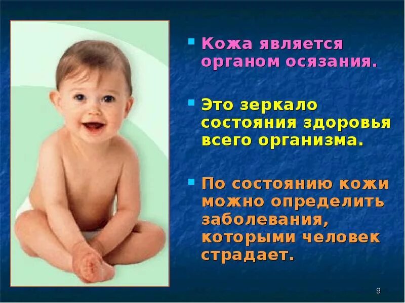 Кожа является органом ответ. Кожа является органом. кожа является органом осязания. сведения о коже человека. интересные факты про осязание.