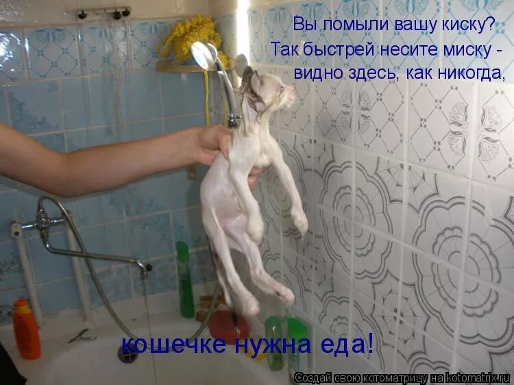 Холодный душ. Помывка в душе предоставляется. Поручень в душевую. Женщины в мужской душевой. Человек в душе.