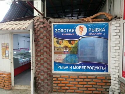 Рыболовные магазин золотая рыбка