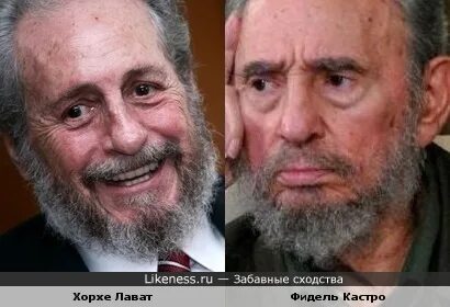 Хорхе лават