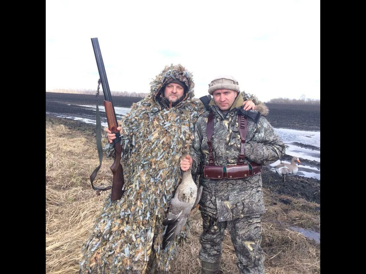 Сроки весенней охоты в тамбовской области. Охота на гуся в Тамбовской области 2021. Охота на гуся 2022 в Тамбовской области. Охота на вальдшнепа 2022 Весенняя.