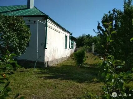 Рождественская хава воронежская