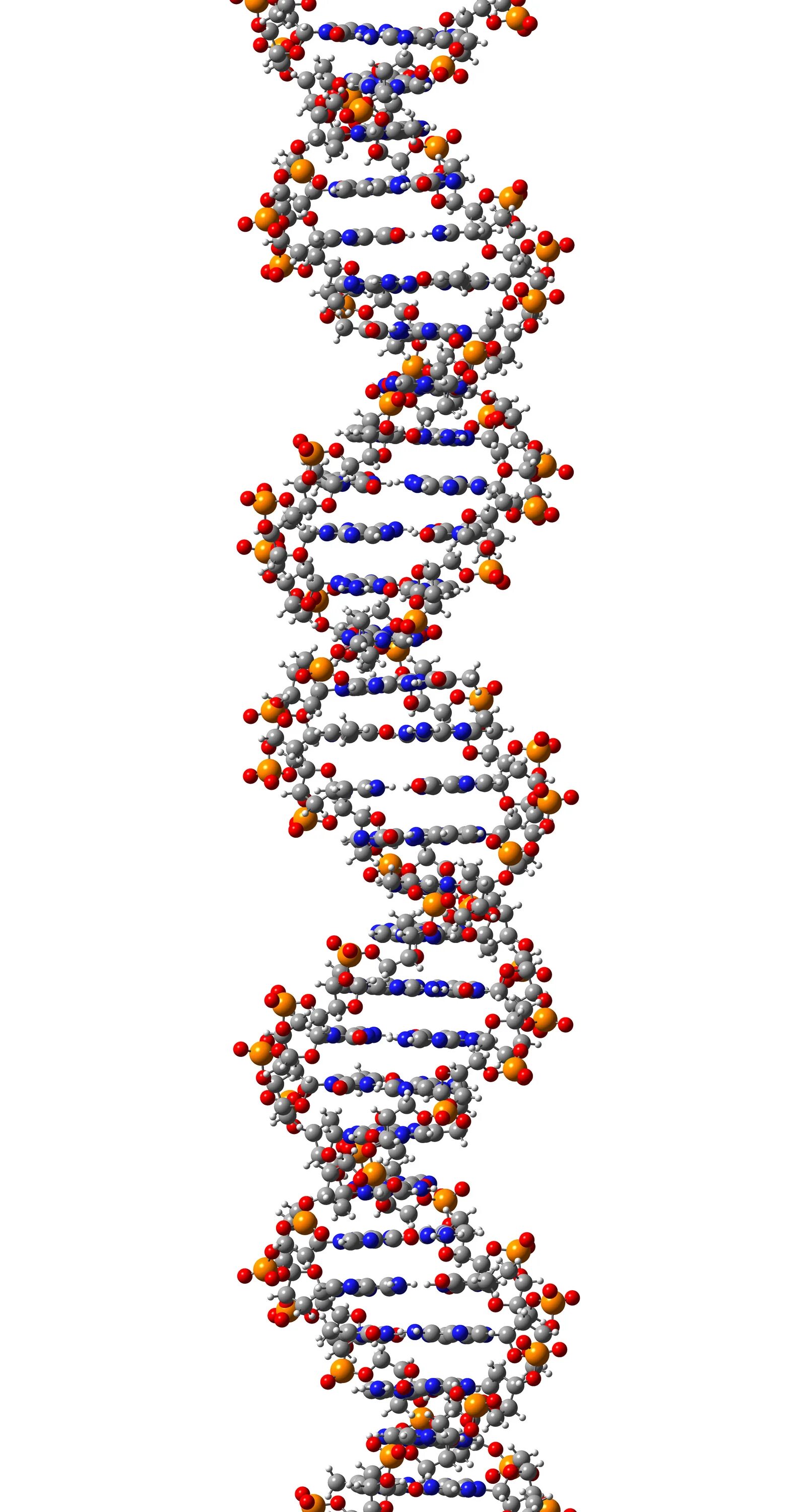 Ген это фрагмент молекулы. Молекула ДНК. Молекула ДНК 3д. Молекула ДНК на прозрачном фоне. ДНК 3d модель.
