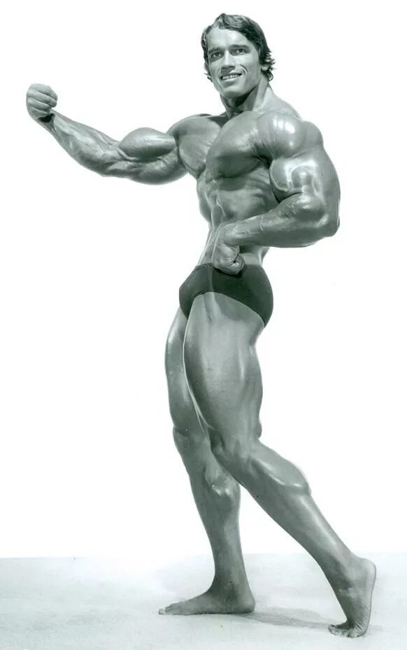 Винс жиронда. Arnold schwarzenegger мускулы. Лунная поза в бодибилдинге. Лунная поза в бодибилдинге. Arnold schwarzenegger bodybuilding.