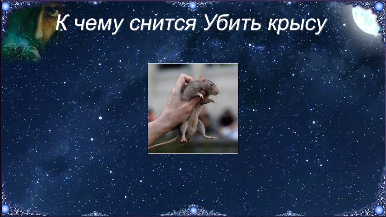 К чему снятся крысы мыши мужчине