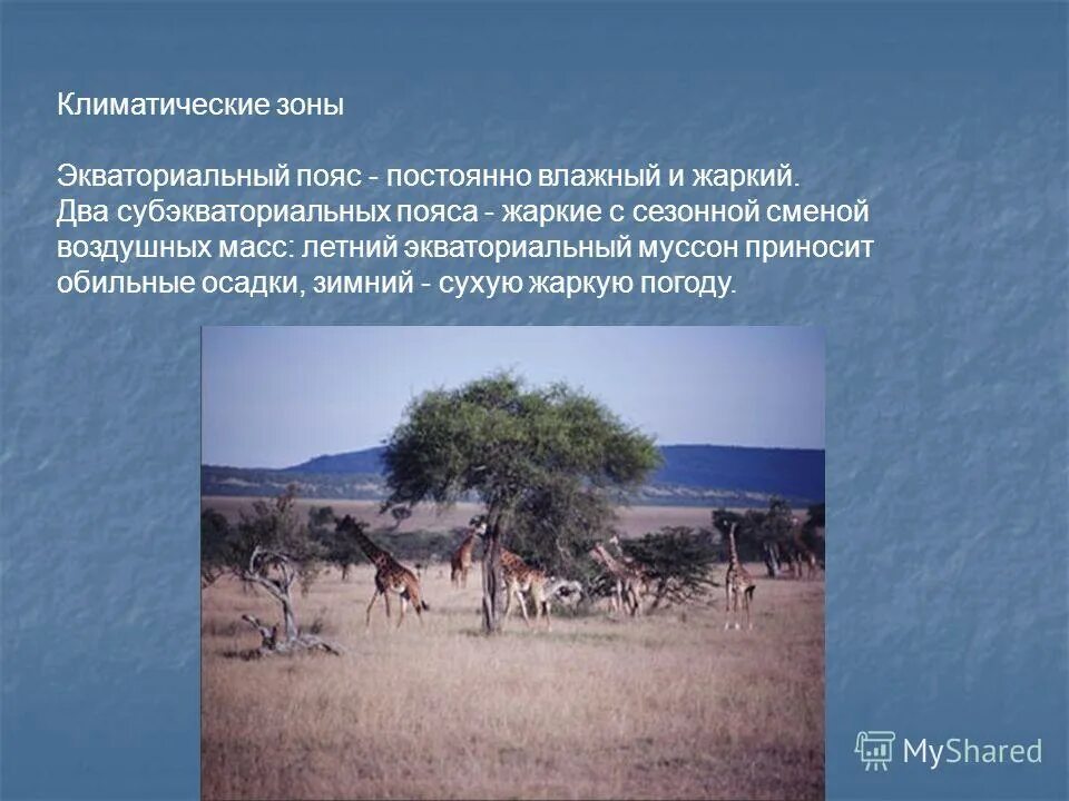 субэкваториальный пояс африки характеристика