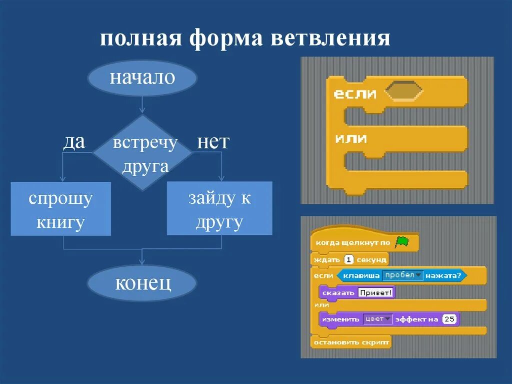 Информатика 5 класс программирование. Скретч алгоритмы с ветвлением. Скретч циклический алгоритм. Линейный алгоритм скретч. Алгоритм в скретче.