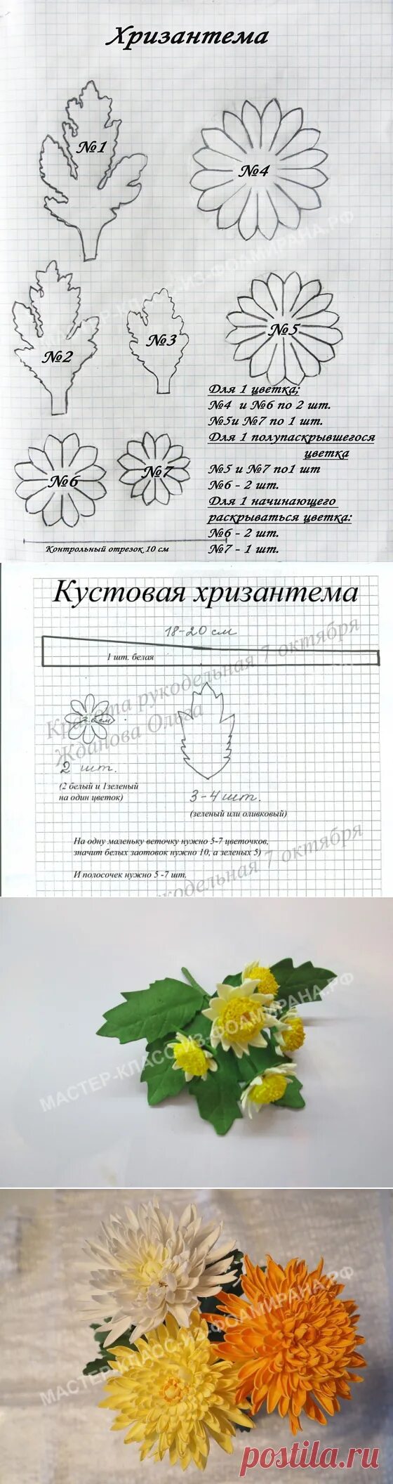 Шаблон хризантемы. Лепестки хризантемы выкройка. Чашелистик хризантемы выкройка. Чашелистик хризантемы из фоамирана. Схемы цветов из фоамирана.