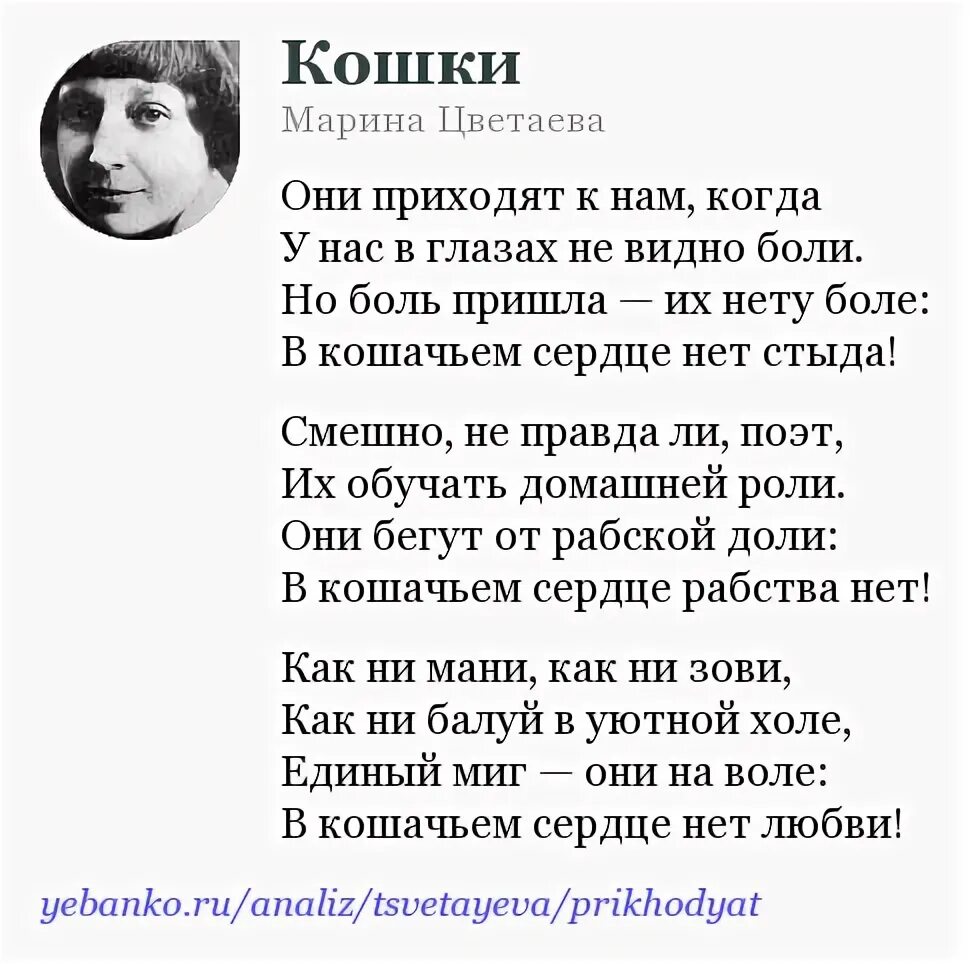 Цветаева кошки стихотворение. Стихи м Цветаевой кошки. Стихи Марины Ивановны Цветаевой для 4 класса.