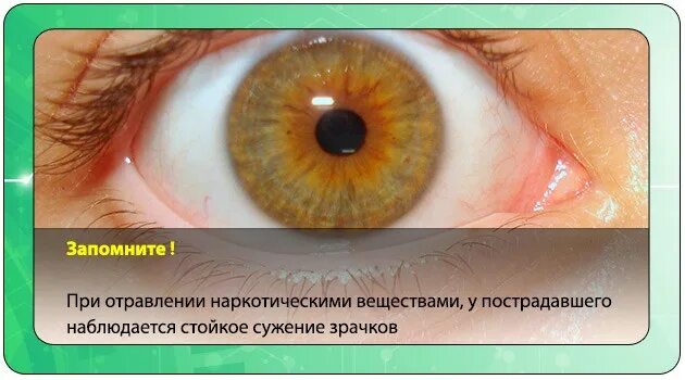 Вещества вызывающие сужения зрачка
