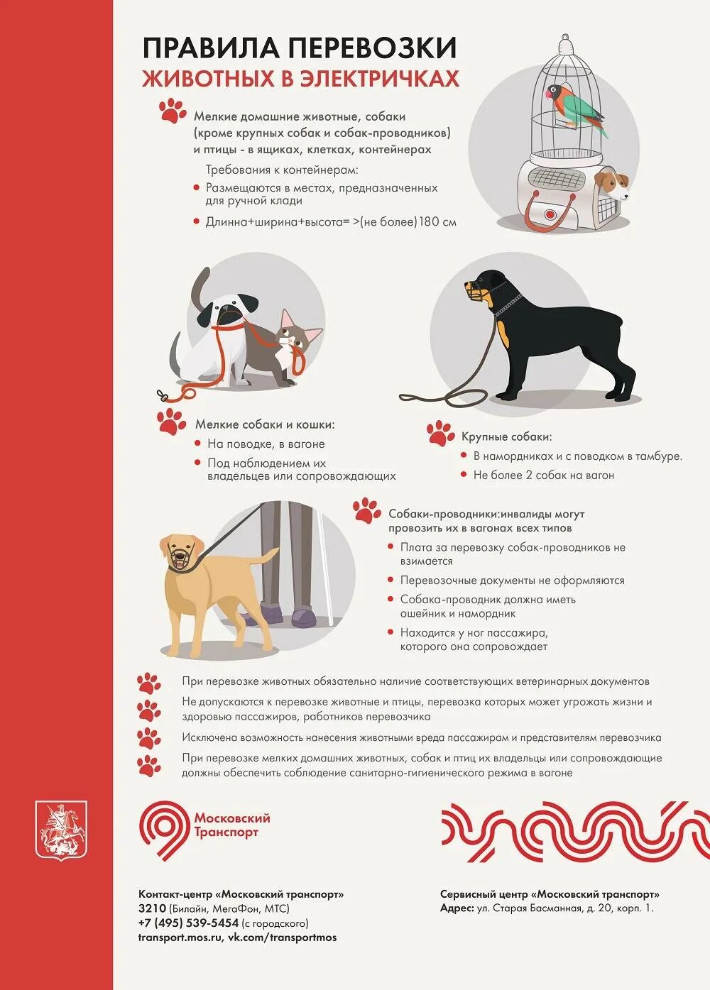 Правила провоза домашних животных. Правила перевоза животных. Правила перевозки животных в поездах. Инфографика правила перевозки домашних животных. Как перевозятся крупные собаки