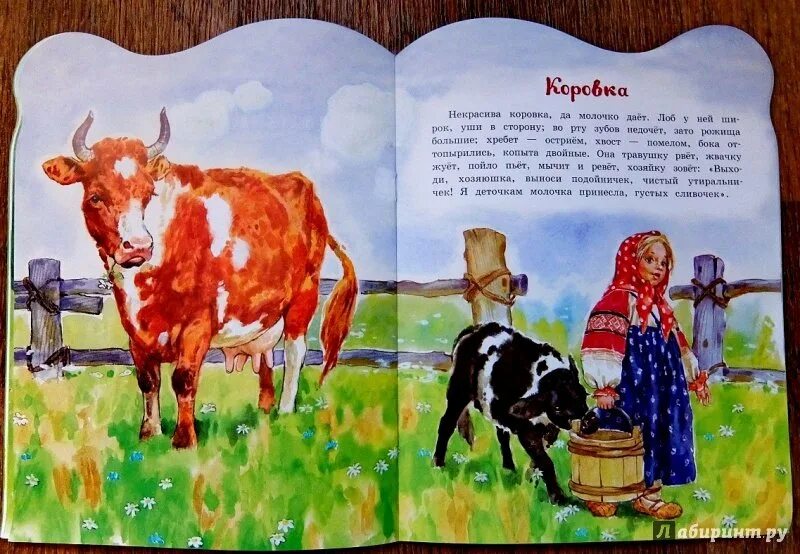 Корова рассказ платонова краткое. Ушинский коровка. Ушинский рассказ бодливая корова.