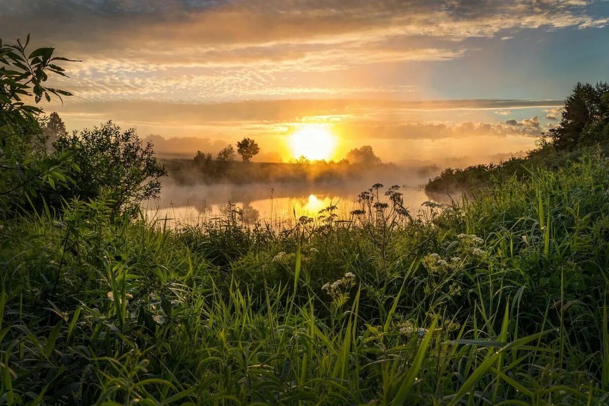 Бесплатные картинки утро. Рассвет. Природа рассвет. Утренний пейзаж. Пейзаж рассвет.