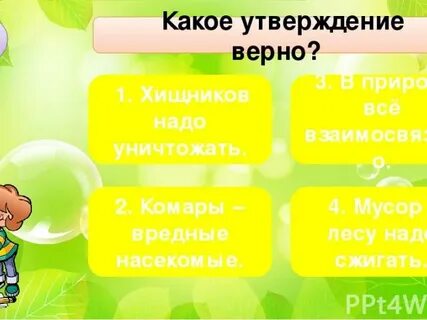 Какое утверждение верно лес