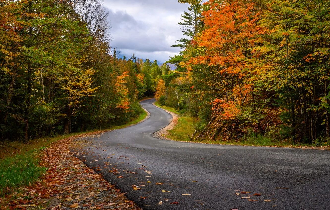 Осенняя дорога. Дорога в осень. Осенняя дорога в лесу. Осень лес дорога.