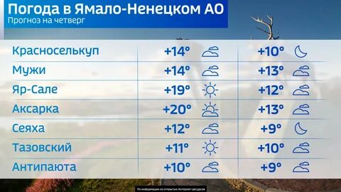 Погода янао на месяц