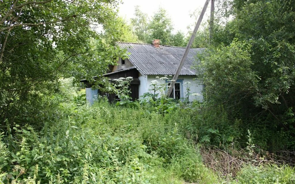 Заброшенный участок. Возьму заброшенный участок. Заброшенная дача. Заброшенный садовый участок. Заброшенная дача.