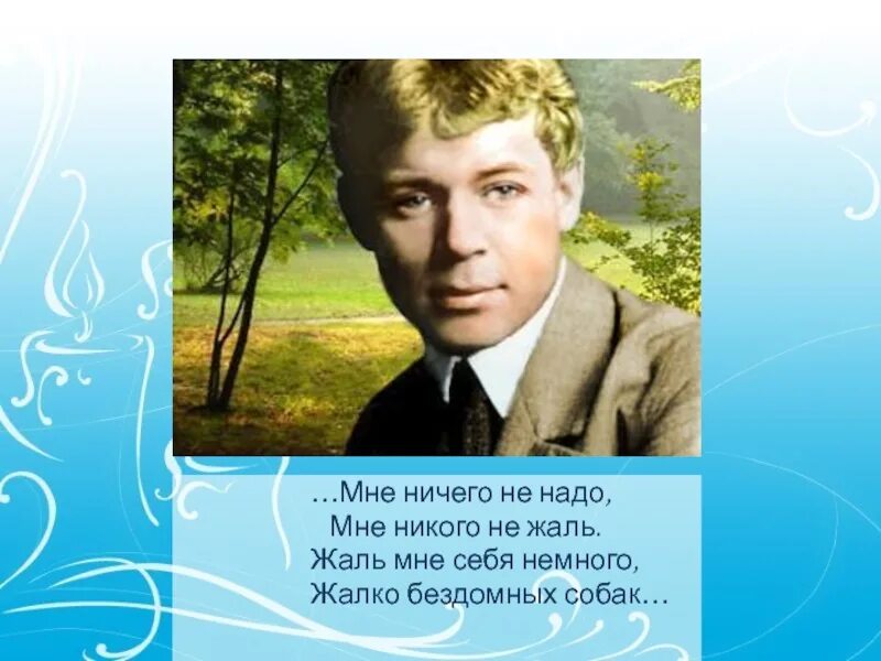 Ничего не жаль слова. Мне никого не жаль Есенин. Есенин мне ничего не надо. Мне ничего не жаль Есенин. Жаль мне себя немного жалко бездомных.