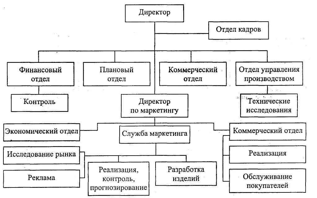 Организационная структура коммерческой организации. Коммерческий директор организационная структура. Организационная структура предприятия коммерческий отдел. Коммерческий директор структура управления. Коммерческий директор это кто