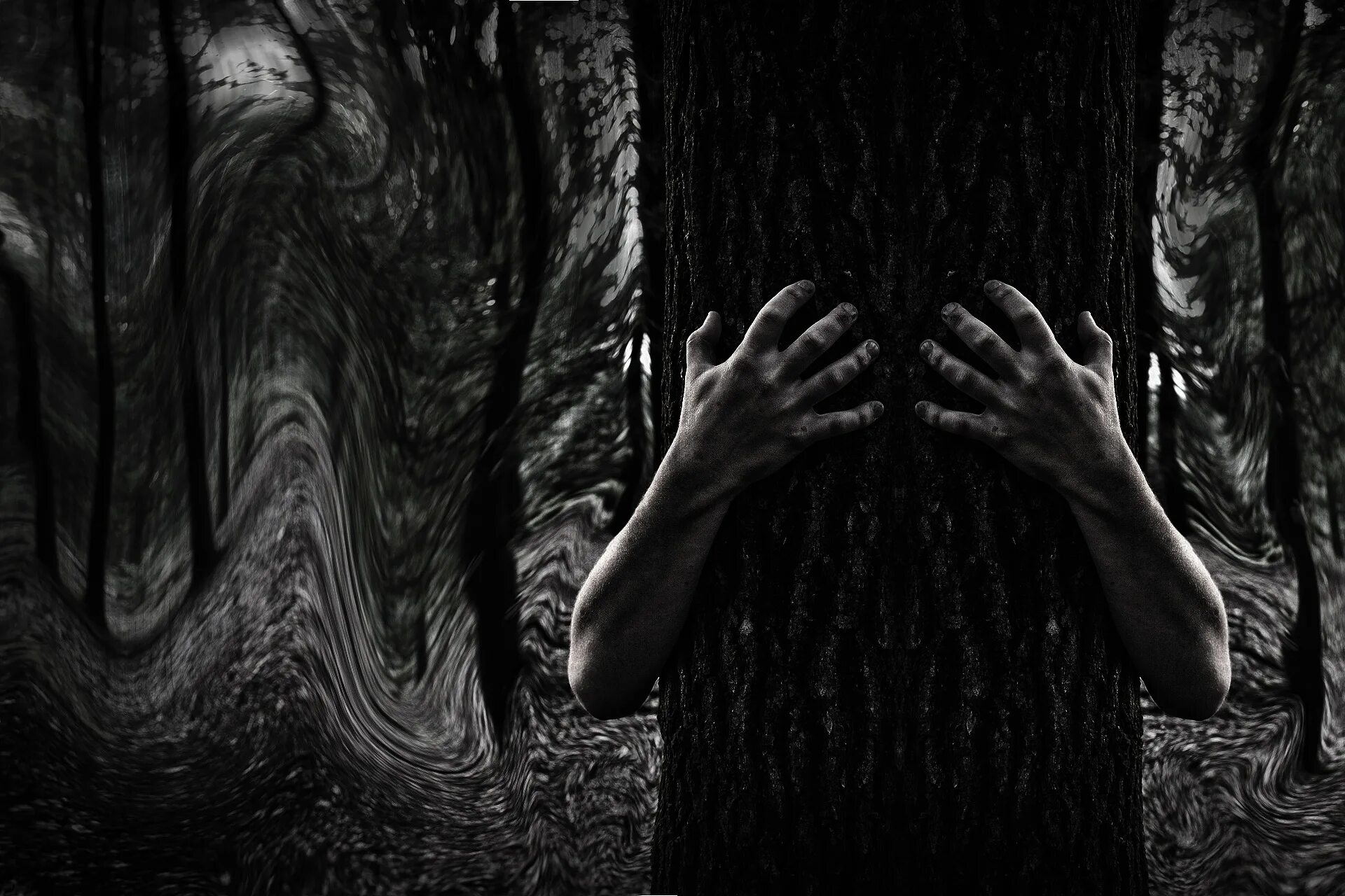 В чем ты видишь связь страха. Страх в лесу. Темный лес ужасы. Ночной лес ужасы.