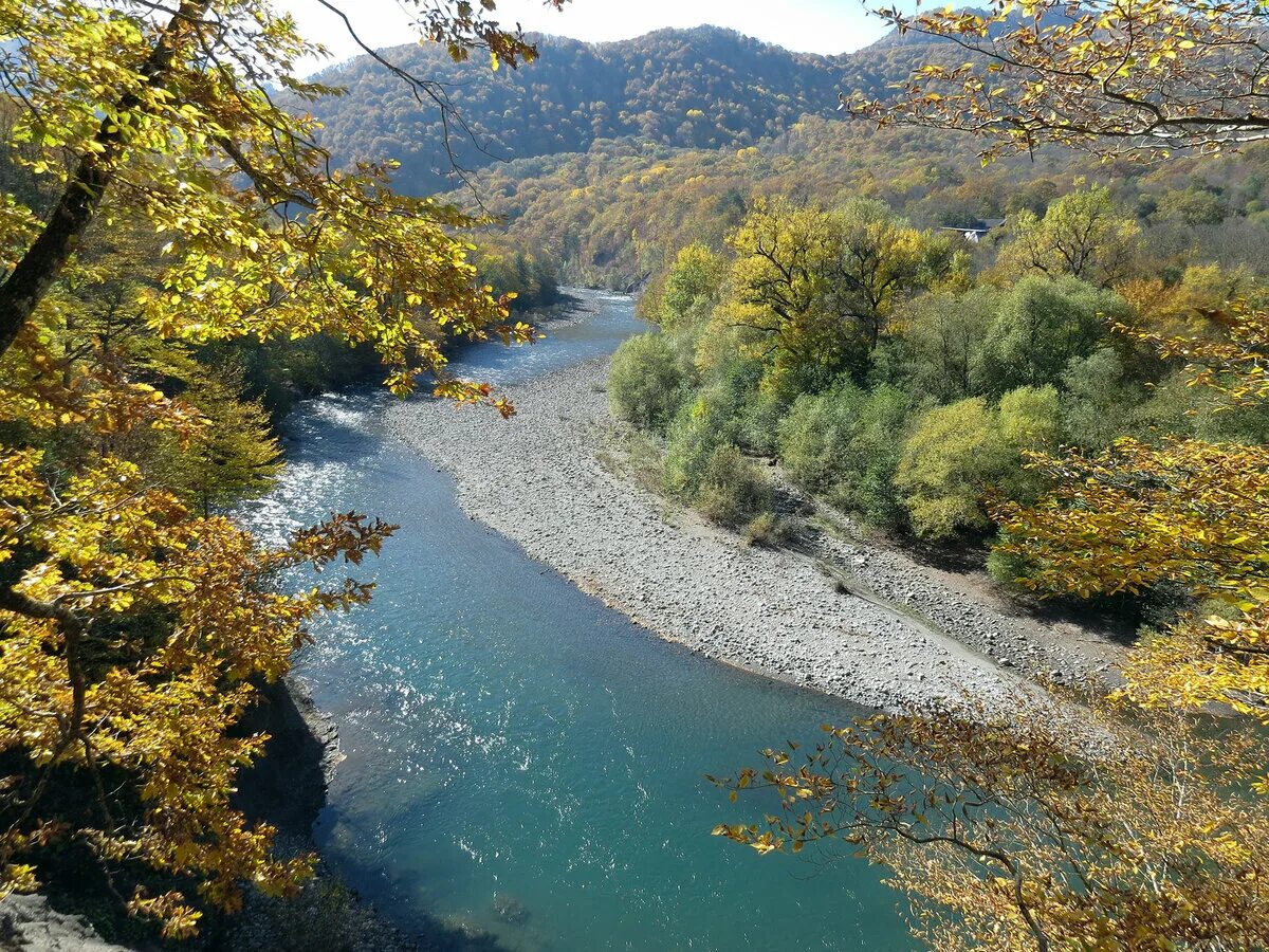 Саратовская область краснодарский край