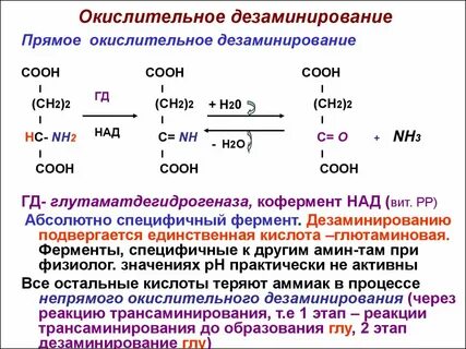 Они образуются в результате