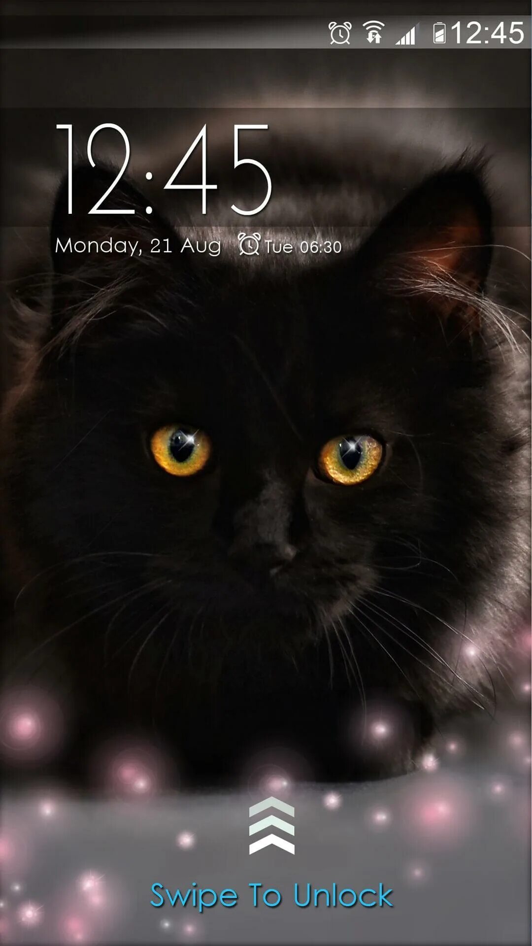 Котики на экран блокировки. Котик на экран блокировки экрана. Милые котики на экран блокировки. Котики на экран телефона.