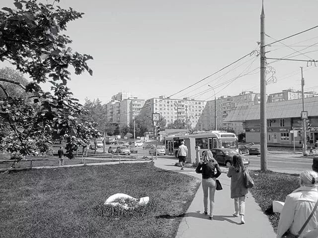 Фото старого рынка Ясенево. Ясенево стрит-парк. Леди коллекшен Москва Ясенево. Рынок ясенево