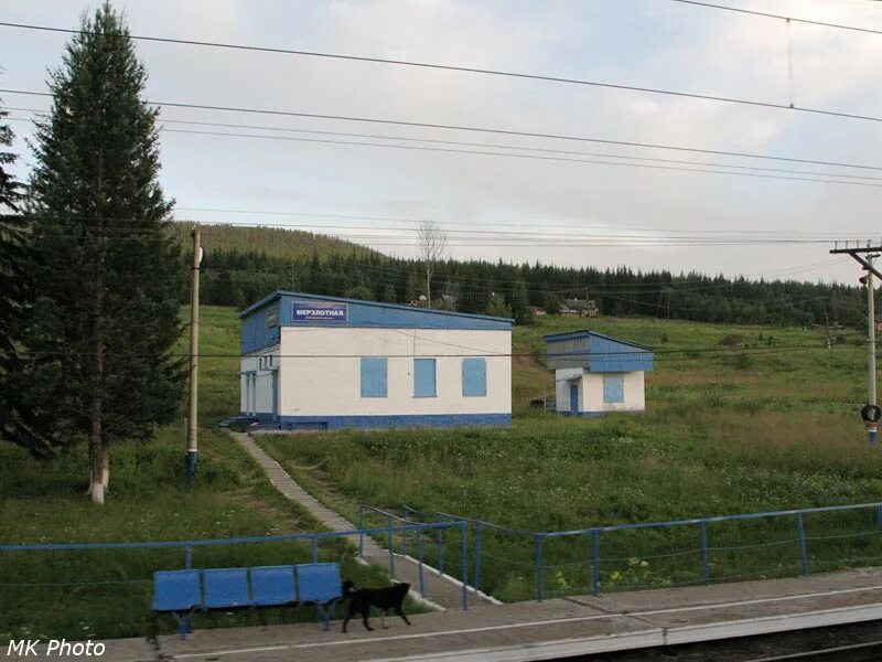 Дабан северобайкальск станция. Тайшет северобайкальск. Сковородинская мерзлотная станция. Тайшет северобайкальск. Огневка станция.