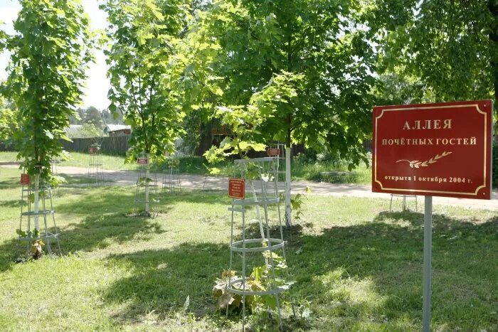 Аллея почётных жителей ставрополя. Аллея почетных граждан невинномысска. Почетная аллея. Почетная аллея. Почетная аллея 1950 г.