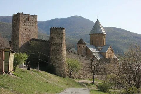 Грузия пропустила