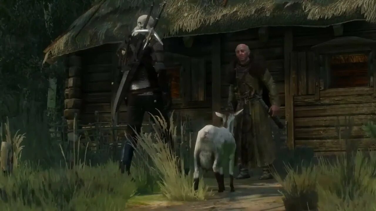 Ведьмак 3 княгиня анна генриетта. Княжна ведьмак 3 коза. Ведьмак коза ворожея. Княжна ведьмак 3 коза. Хижина ворожея ведьмак 3.