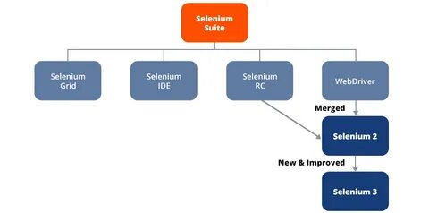 Selenium common exceptions webdriverexception