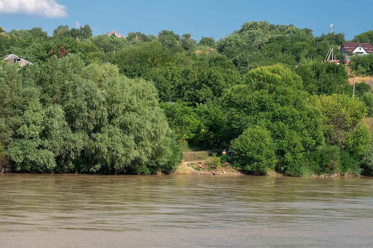 Река Кубань в Новокубанске. Река Кубань Армавир. Река Кубань реки Краснодарского края. Город Армавир река Кубань. П новокубанский краснодарский край