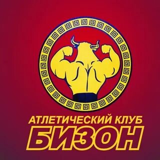 Бизон саранск