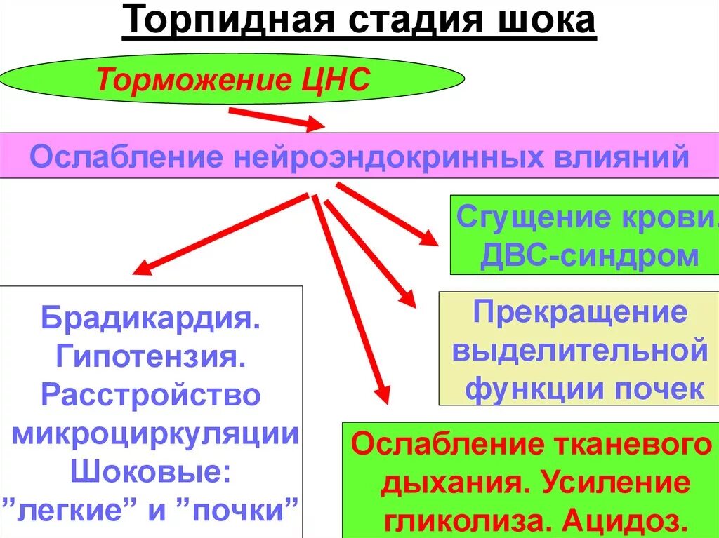 Для кардиогенного шока характерны в торпидную фазу:. Торпидная фаза шока. Для торпидной стадии шока характерны. Торпидная стадия шока характеризуется. Торпидная фаза травматического шока.