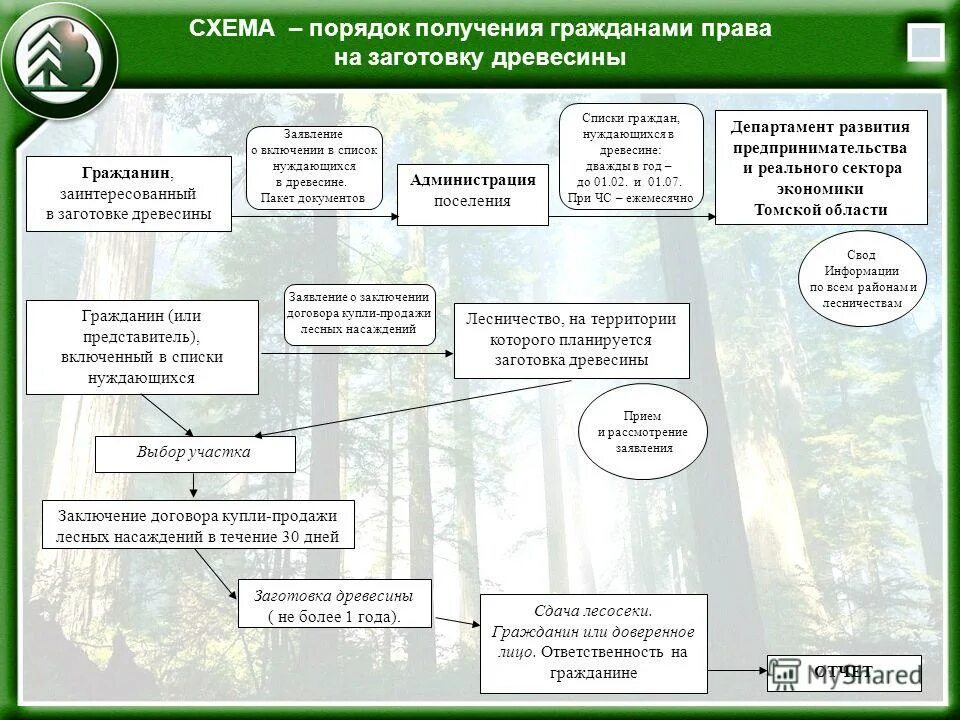 Лес гражданину рф. Заготовка древесины для собственных нужд. Схема заготовки древесины. Порядок заготовки древесины для собственных нужд граждан. Древесина для граждан.