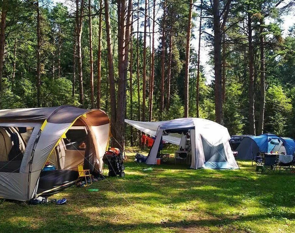 Camping php. Селигер палатки палаточный лагерь. Озеро Селигер палаточный лагерь. Кемпинг Тишково. Селигер озеро кемпинг.