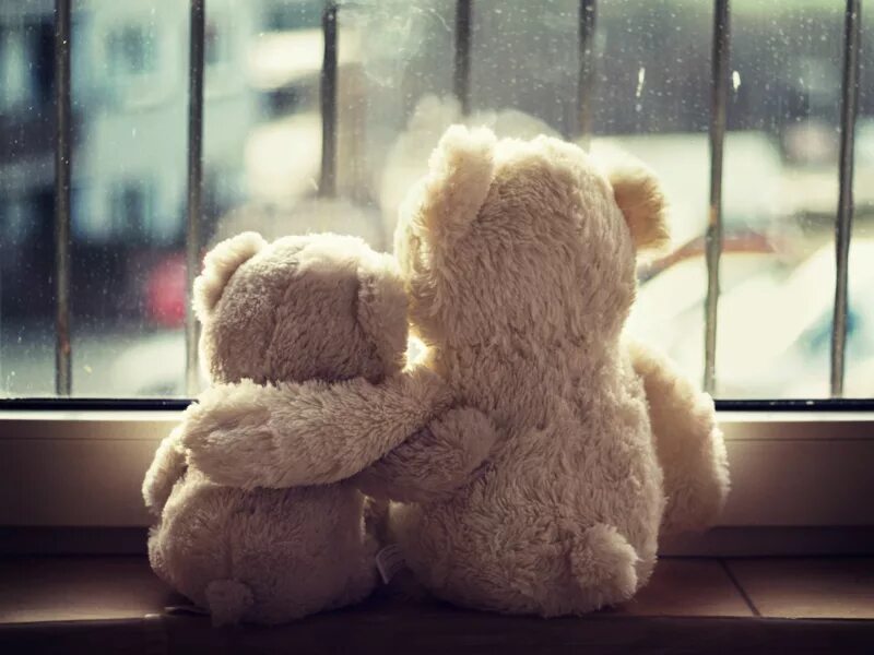 Мишка вопреки ожидания. Мишка тедди. Мишка вопреки ожидания. Девушка мечтает. Грустная игрушка.